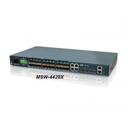 Carrier Ethernet Multi Service Switching 4428x