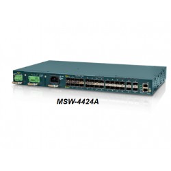 Carrier Ethernet Multi Service Switching 4424A