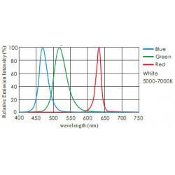 OPT-LSGC High Intensity Coaxial Line Scan Lights