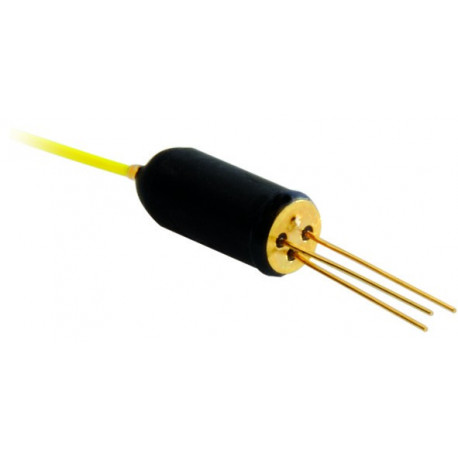 Miniature Polarization Diversity Detector Miniature Polarization Diversity Detector