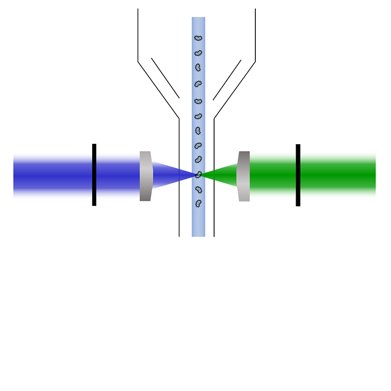 Durchflusszytometrie