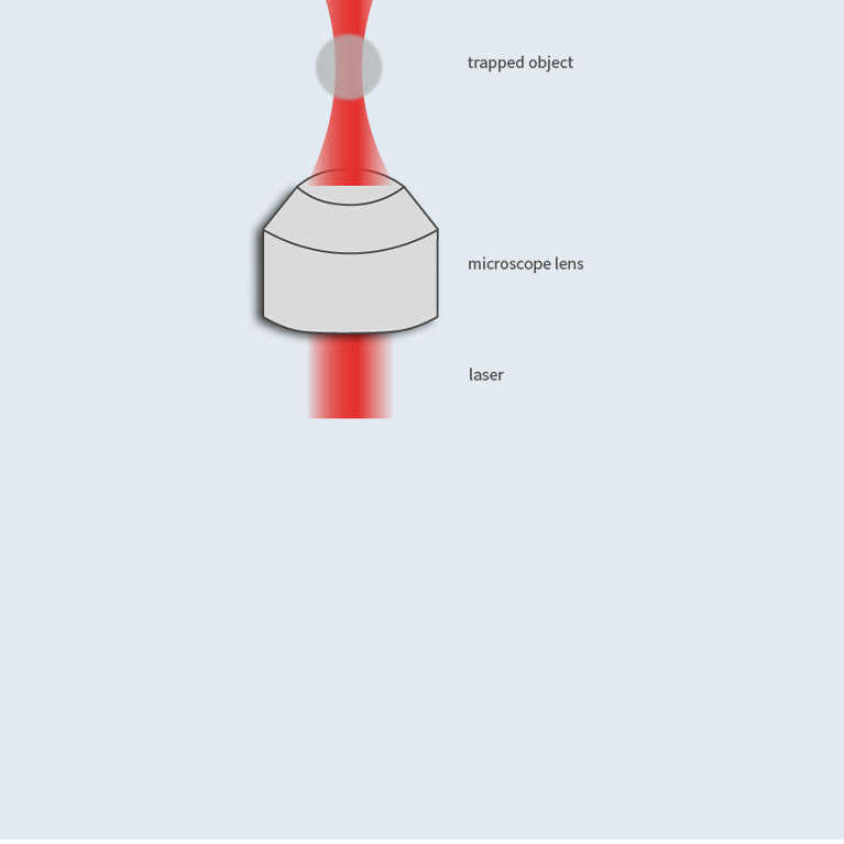 Optical Tweezers