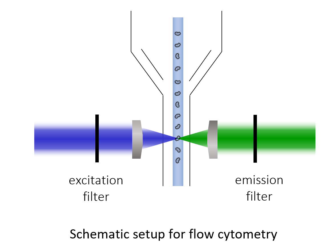 biophotonics-cytometry_EN.png