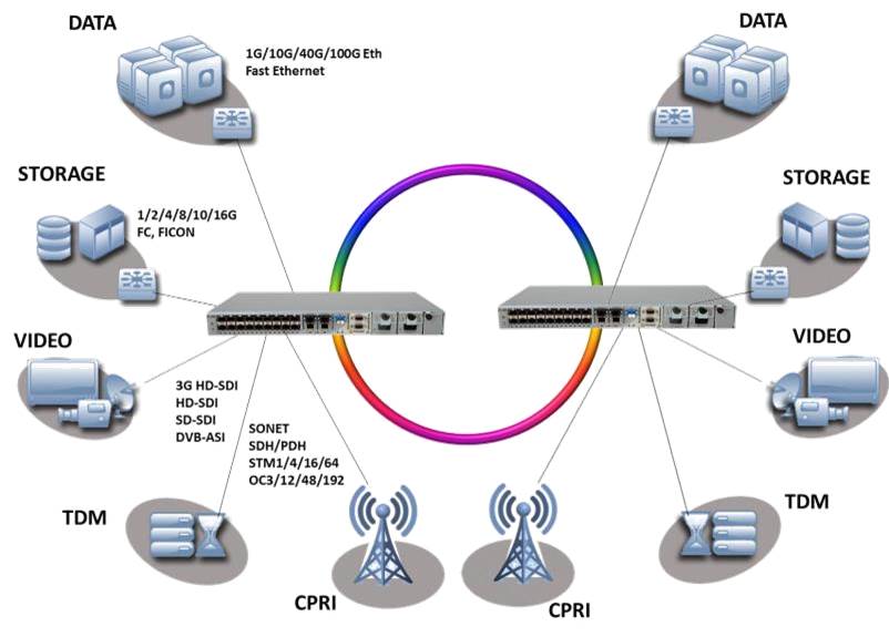 WDM Netz